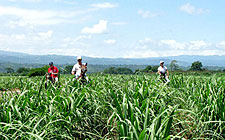 Costa Rica-Pacific Coast-Conquistadores Ride
